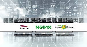 Apache Nginx Litespeed Performans Analizi