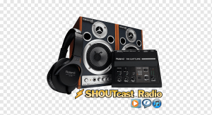 Shoutcast Radyo Hosting Paketleri